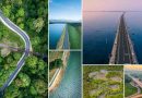 DIMO showcases Sri Lanka’s roads of progress in its 2023 calendar