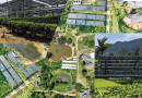 Hayleys Solar Selected for First-of-its-Kind ADB’s Agrivoltaics Project in Sri Lanka